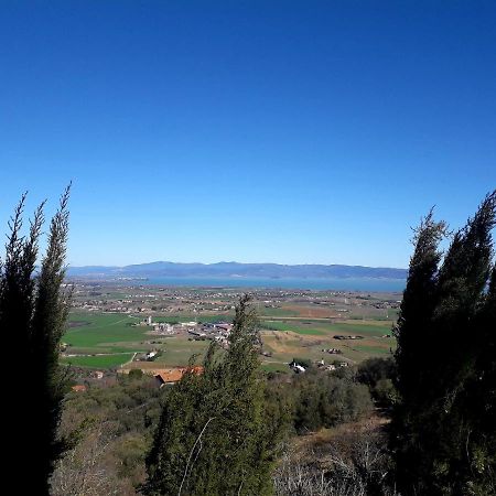 Il Vecchio Frantoio Villa Panicale Bagian luar foto