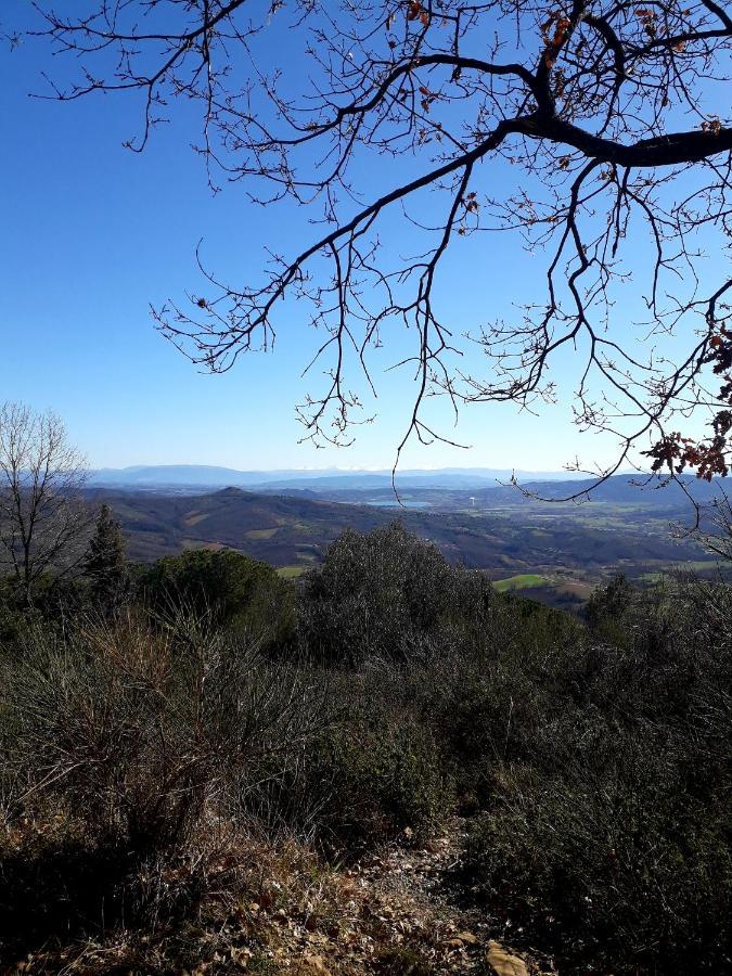 Il Vecchio Frantoio Villa Panicale Bagian luar foto