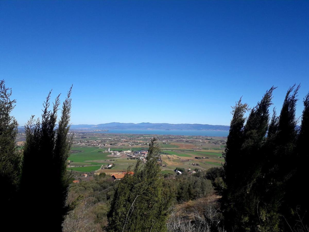 Il Vecchio Frantoio Villa Panicale Bagian luar foto